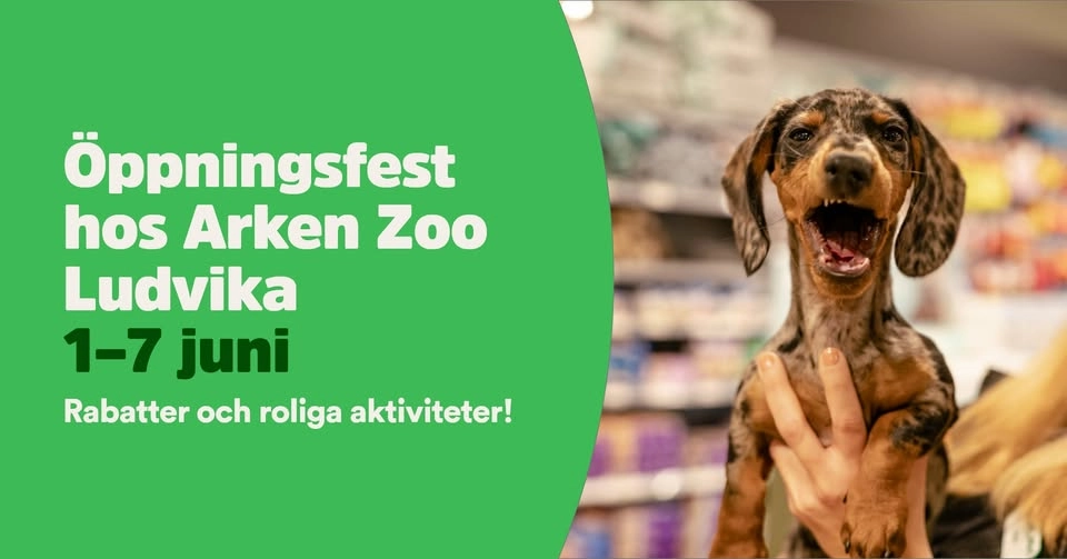 Öppningsfest för Arken Zoo i Ludvika