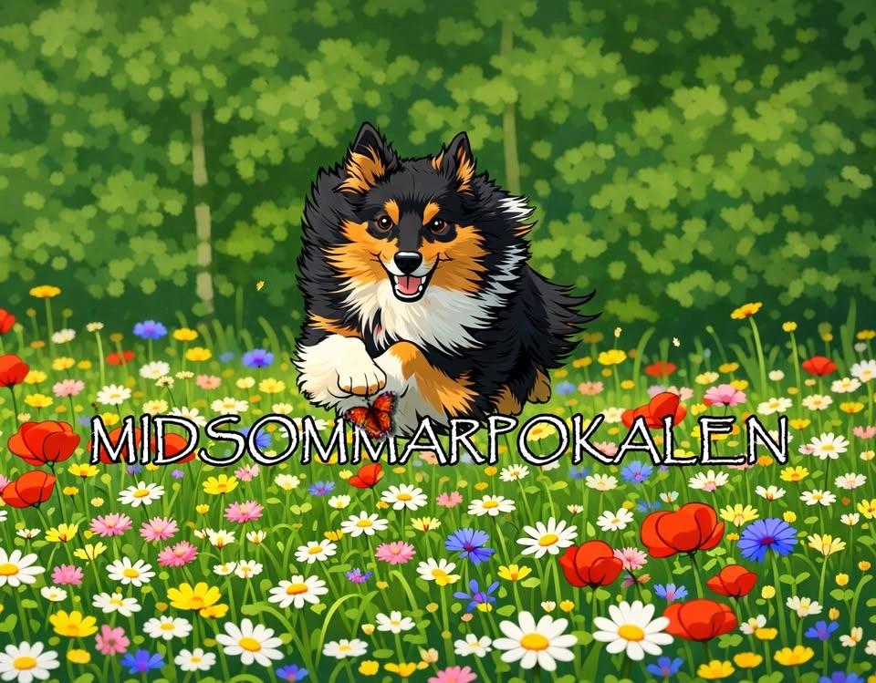 MIDSOMMARPOKALEN