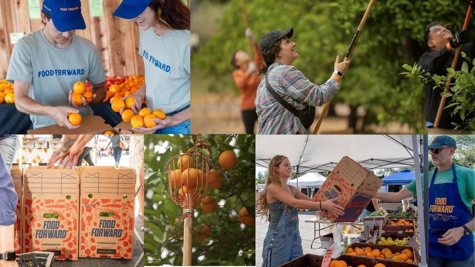 Help recover food locally in Los Angeles