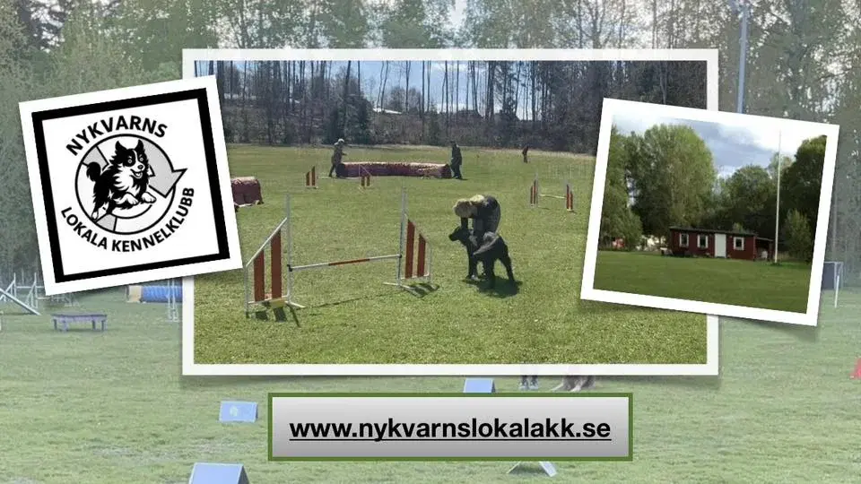 Agility Vår Uppstart!