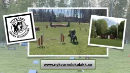 Agility Vår Uppstart!