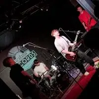 The Shells in the Snig