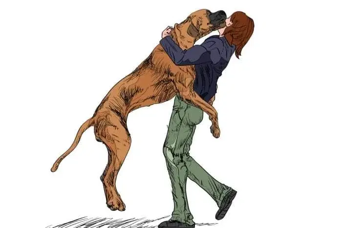 "Hej utan ståhej" - ett tillfälle där vi tränar på att hälsa utan att hoppa.