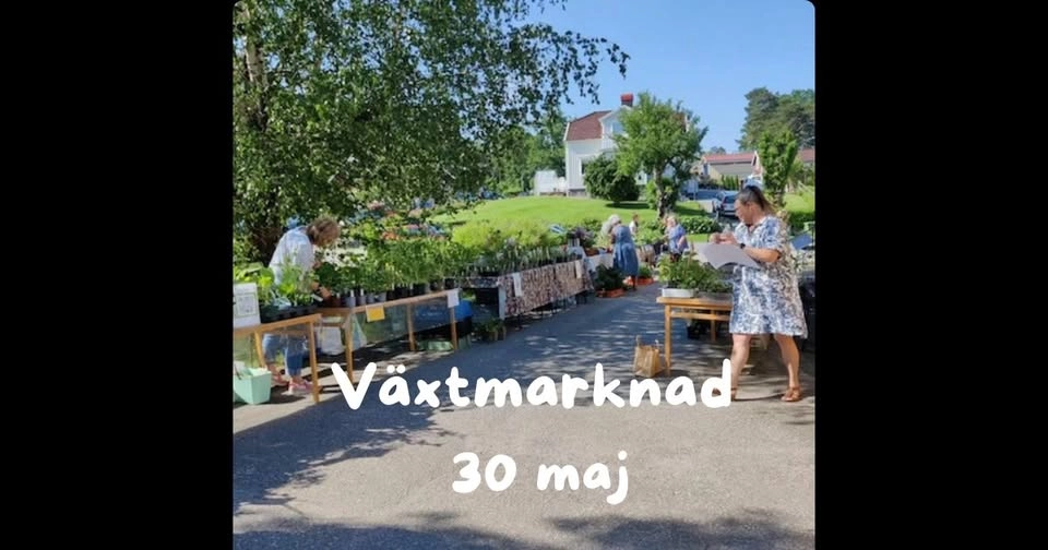 Växtmarknad