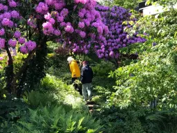 Öppen trädgård - 1000 trädgårdar och Trädgårdsresan