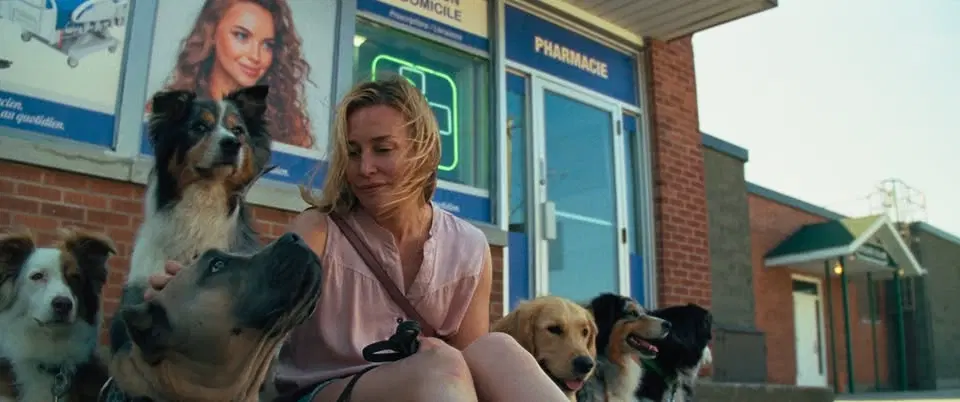 Hundbio Peak Everything