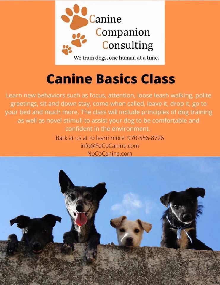 Canine Beginners Class