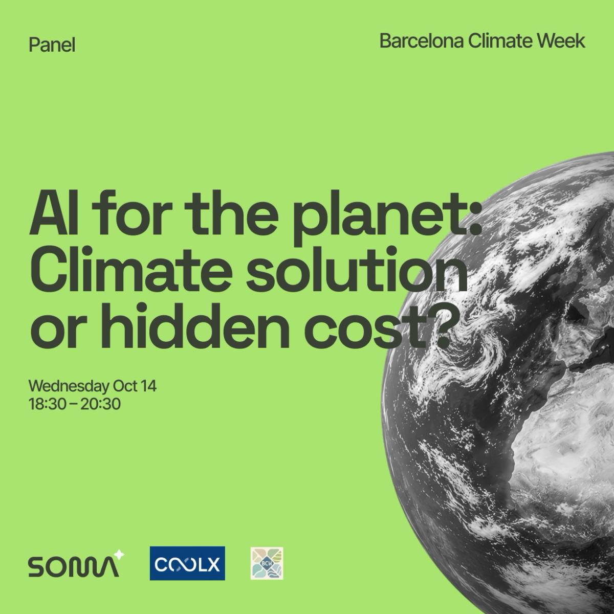 AI for the Planet: Climate Solution or Hidden Cost?