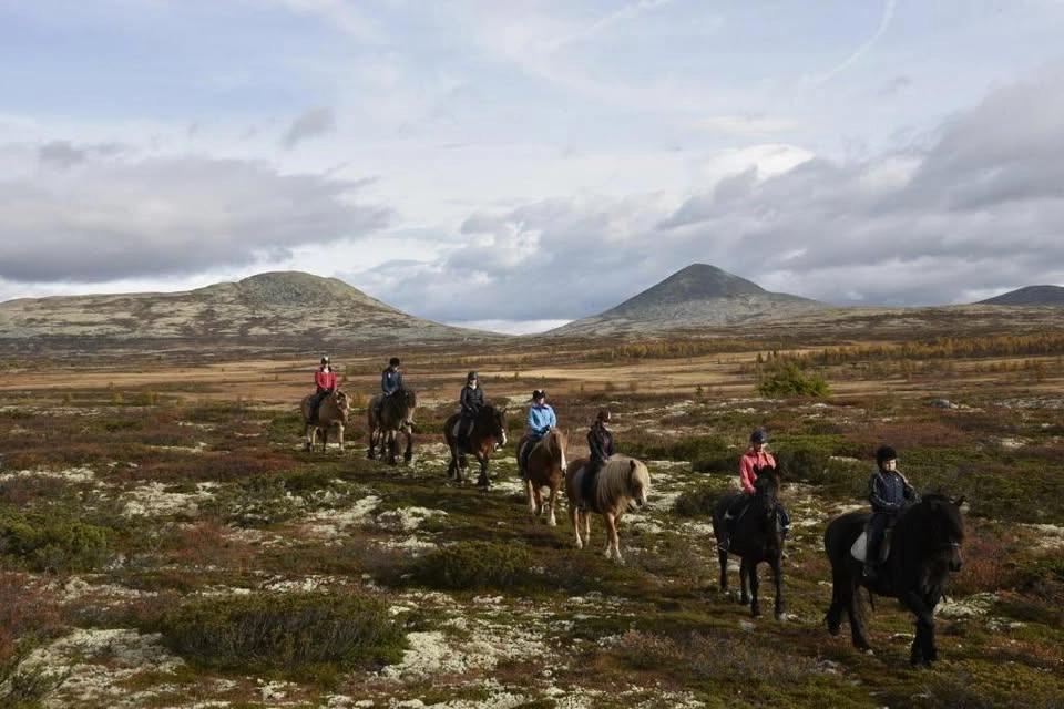 Gutsy Girls Holiday | Norway Horse Riding and Yoga Holiday for Experienced Riders