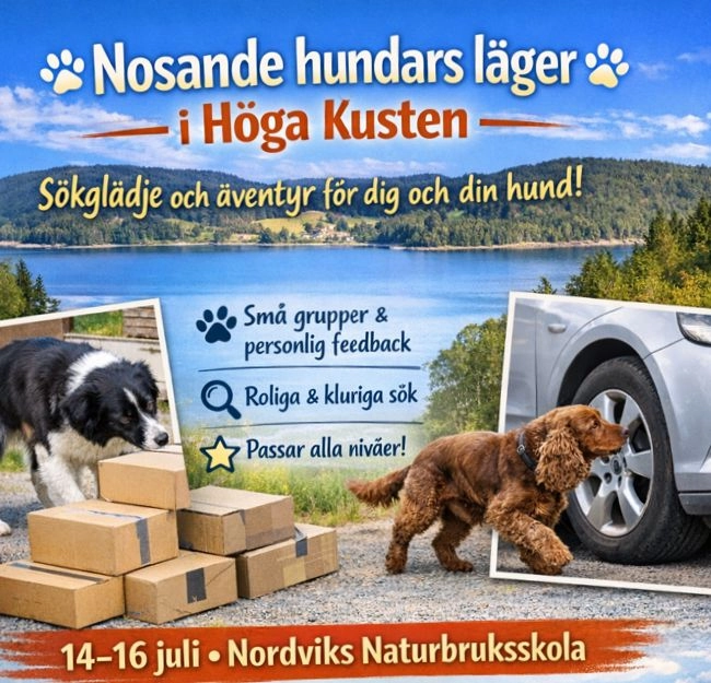 Nosande hundars läger