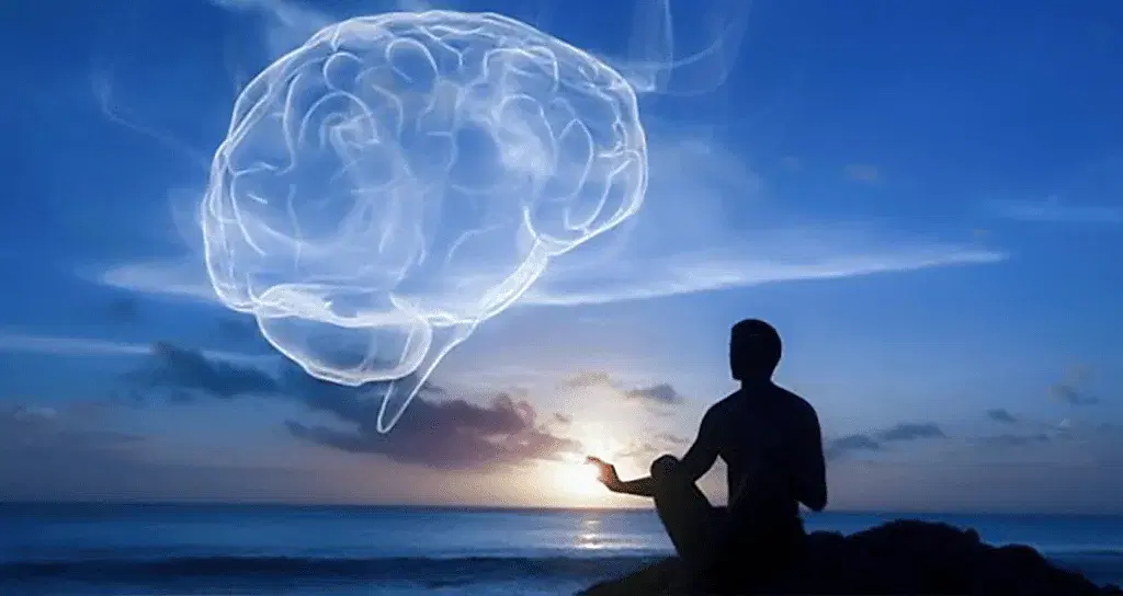 Exploring Consciousness – Roma