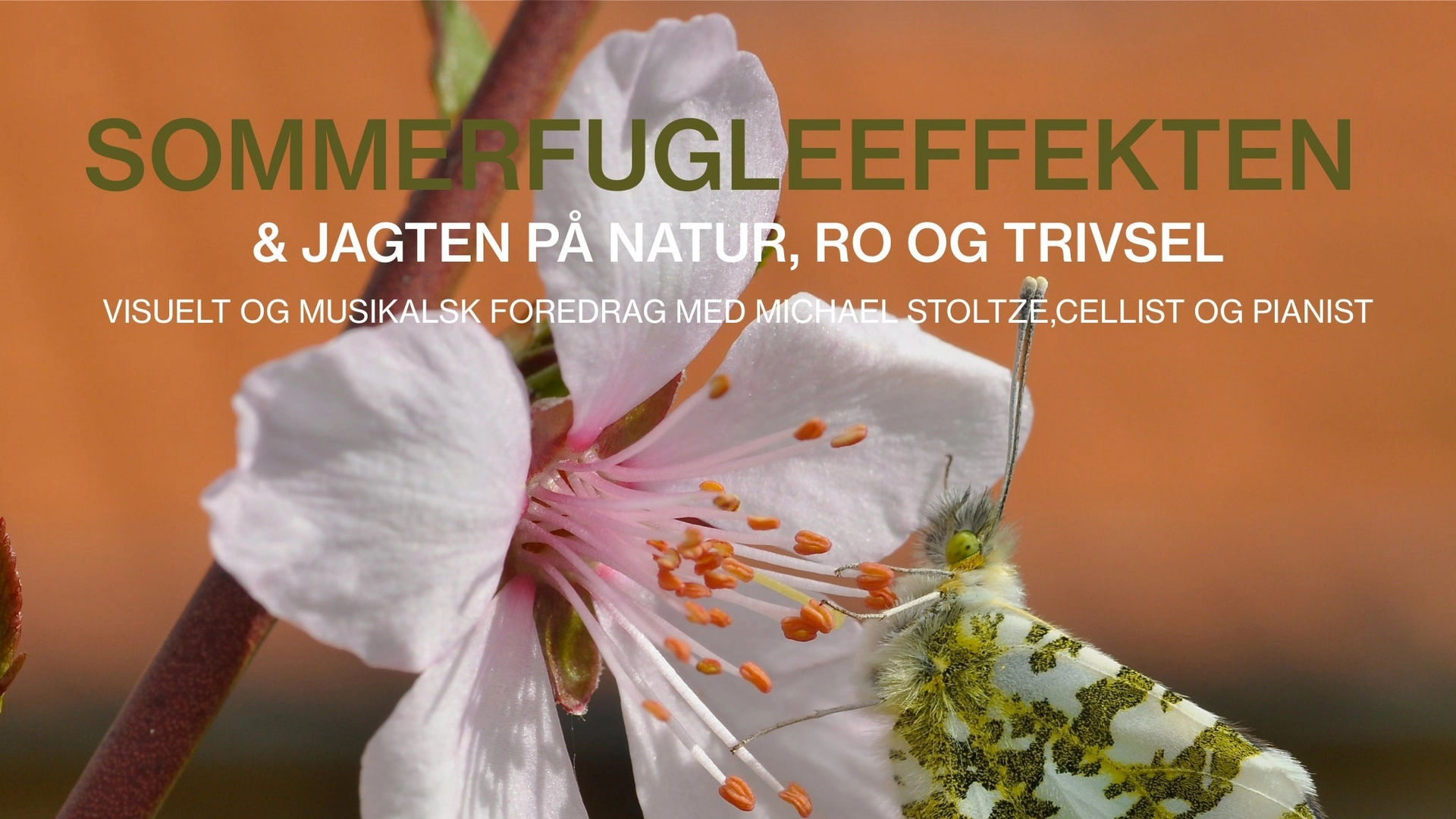 MICHAEL STOLTZE - SOMMERFUGLEFFEKTEN & JAGTEN PÅ NATUR, RO OG TRIVSEL