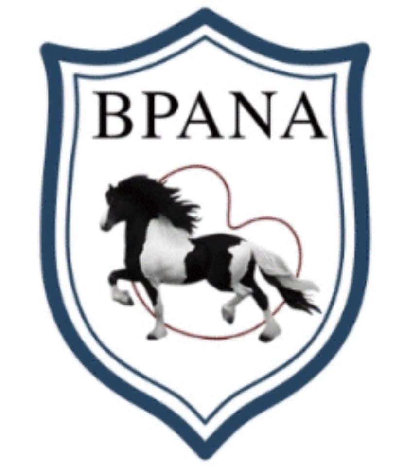 Alaska BPANA Inspection (Barock Pinto Association of North America)