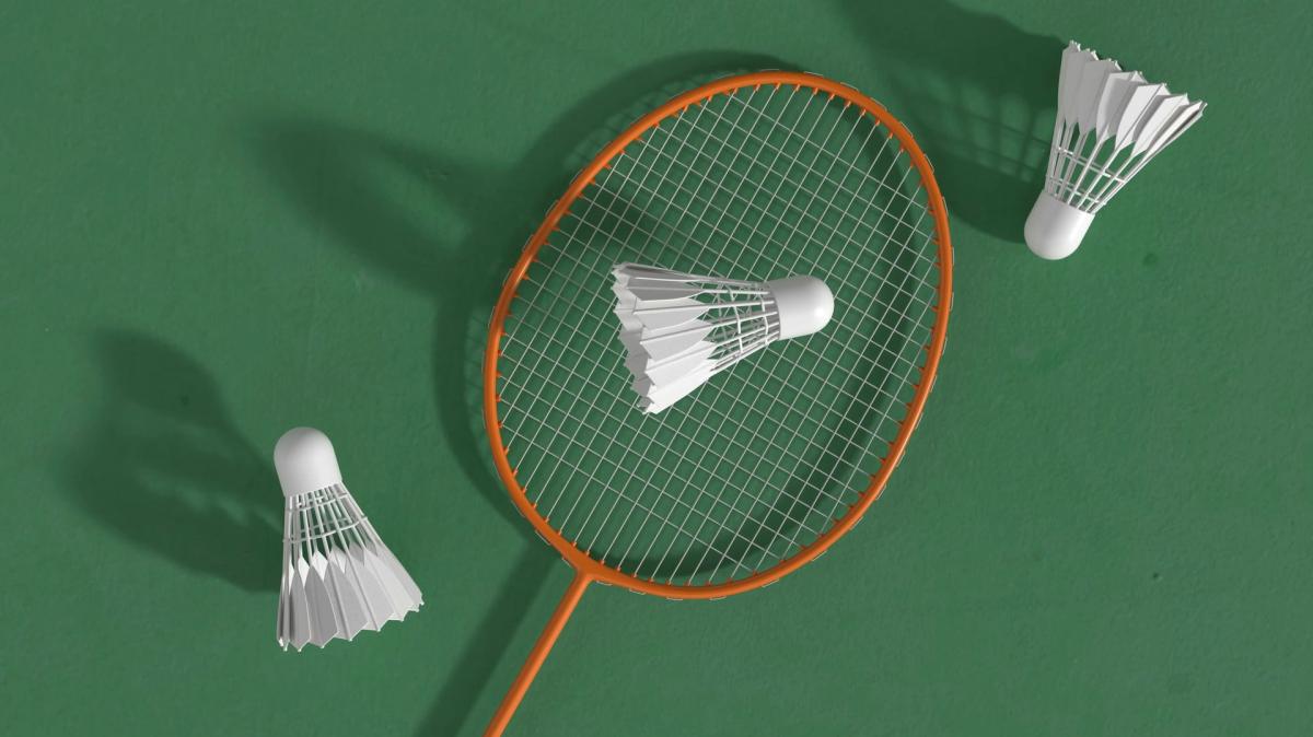 Sunday Badminton Social #2