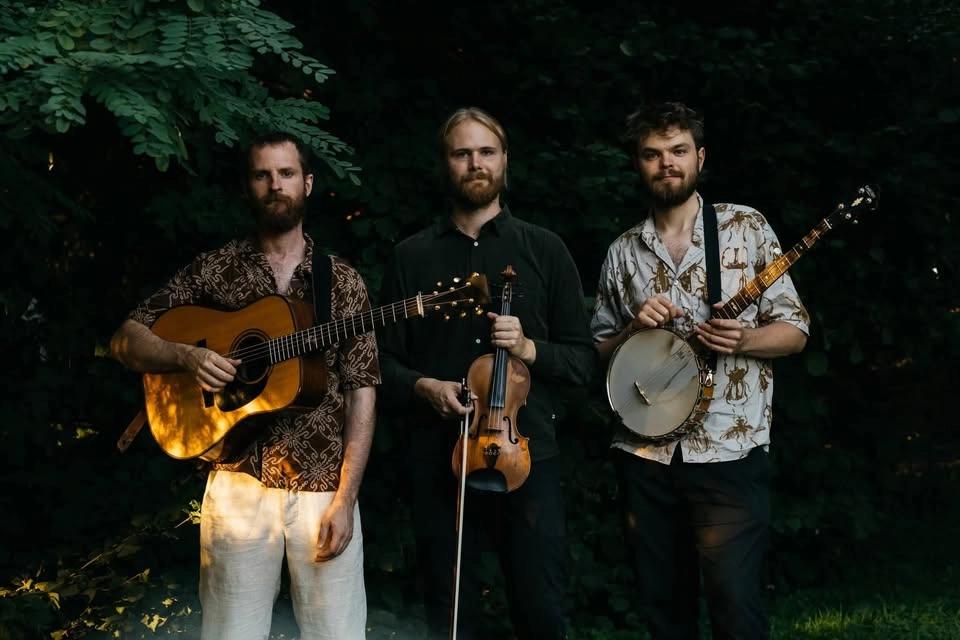 New Valley String Band / Americana Bluegrass ol time music @ Alter