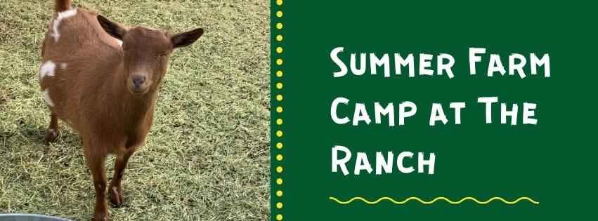 Summer Farm Camp at The Ranch Week 4