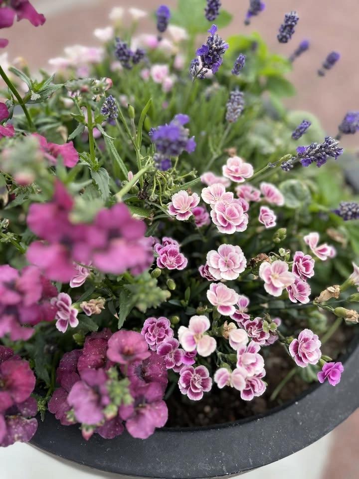 Midsommarhelgen på Sundsta