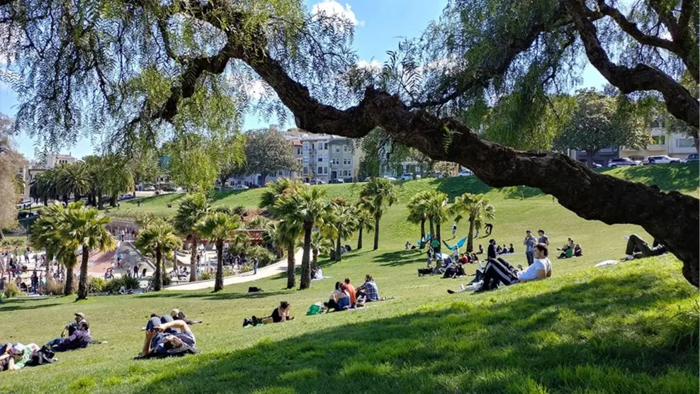 UX Designers Brunch/Picnic SF @ Mission Dolores Park
