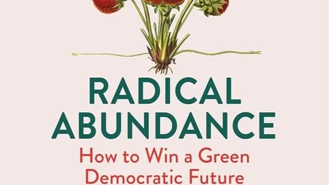 Radical Abundance Book Chat