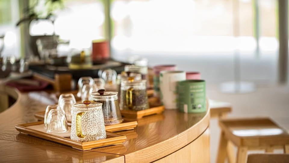 Journey Into the World of Tea | White and Green Teas
