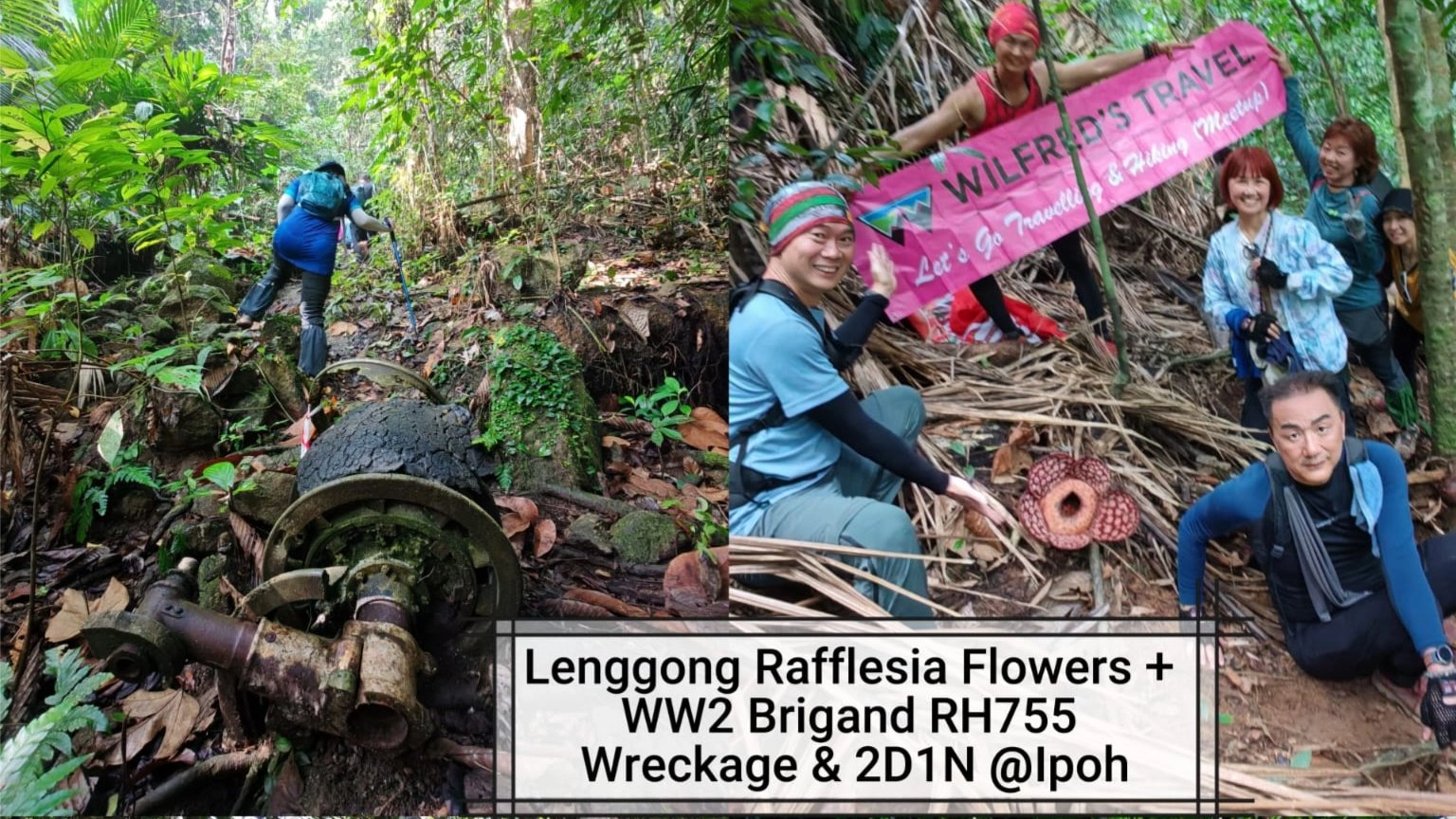 â
Explore Rafflesia Flower 5km & WW2 RH755 Wreckage 6km Hike + 2D1N@Ipoh