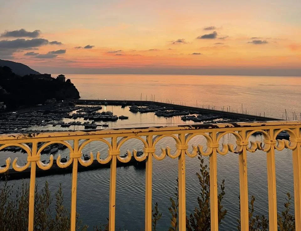 Succe - Föreläsning om Japan: var resa i Japan & vad tänka på inför resa till Japan :)