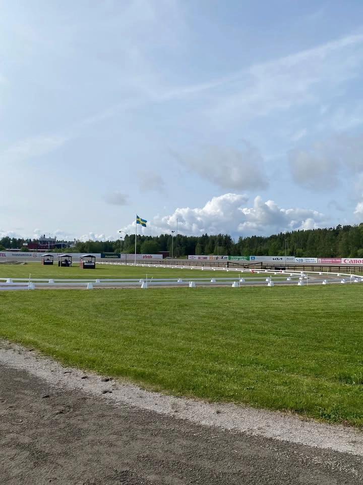 Drifandis sommartävling