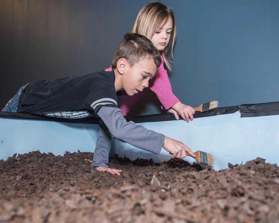 Family Discovery Day: Archaeology (all ages)