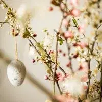 Conscious Connected Breathwork with Lyndsey & Anna