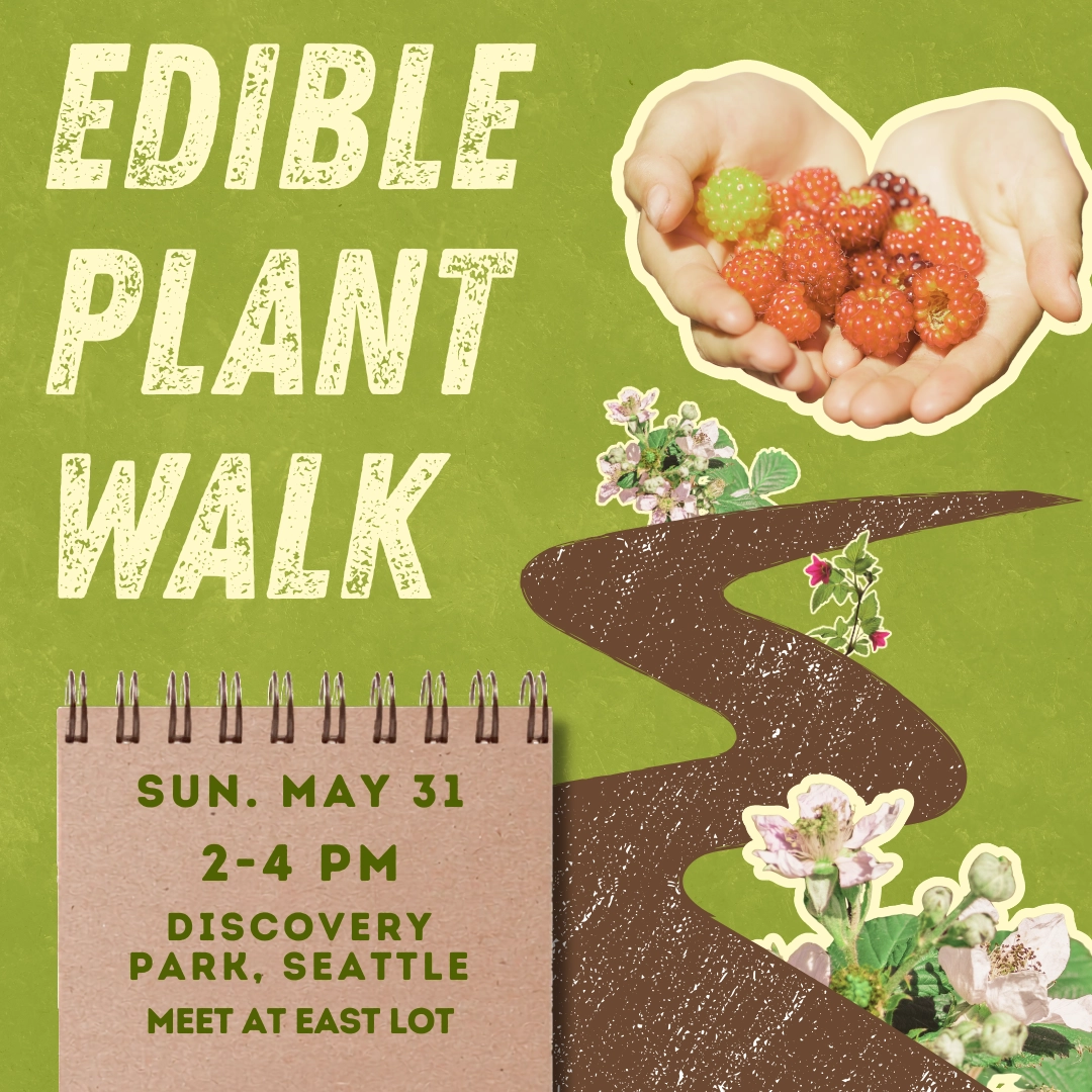 Edible Plant Walk