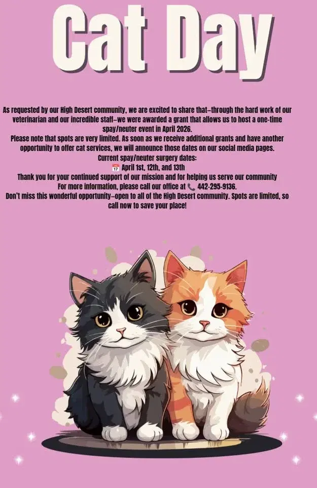 Cat Day Spay/Neuter