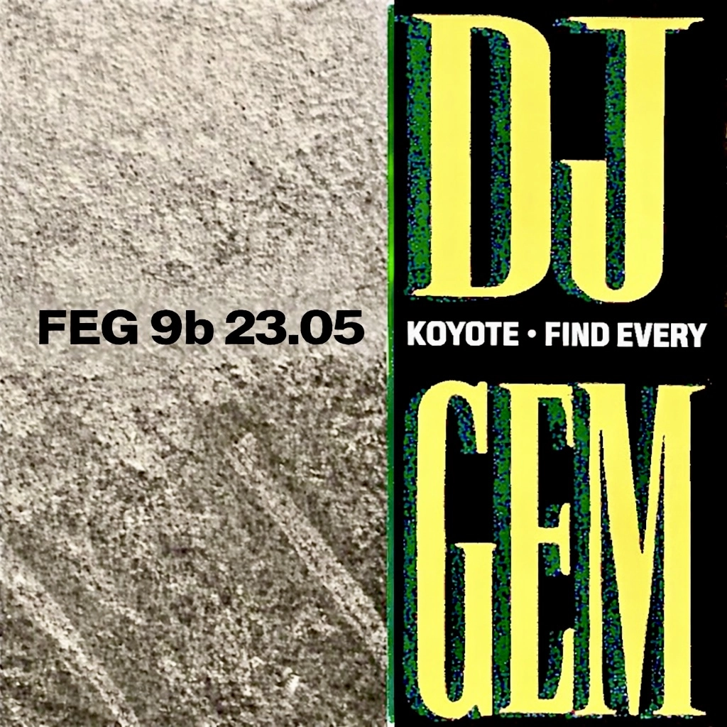 Find Every Gem (F•E•G) and DJ Koyote