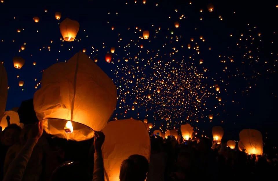🎈CANTOYA FEST 2026🎈