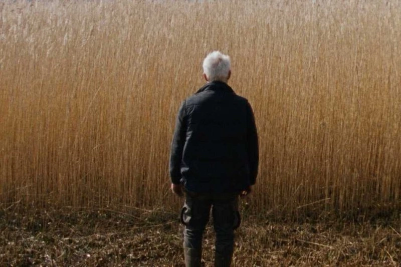 Mental Hygiene of Aleš Stuchlý: Reedland + Q&A with Martin Pleštil