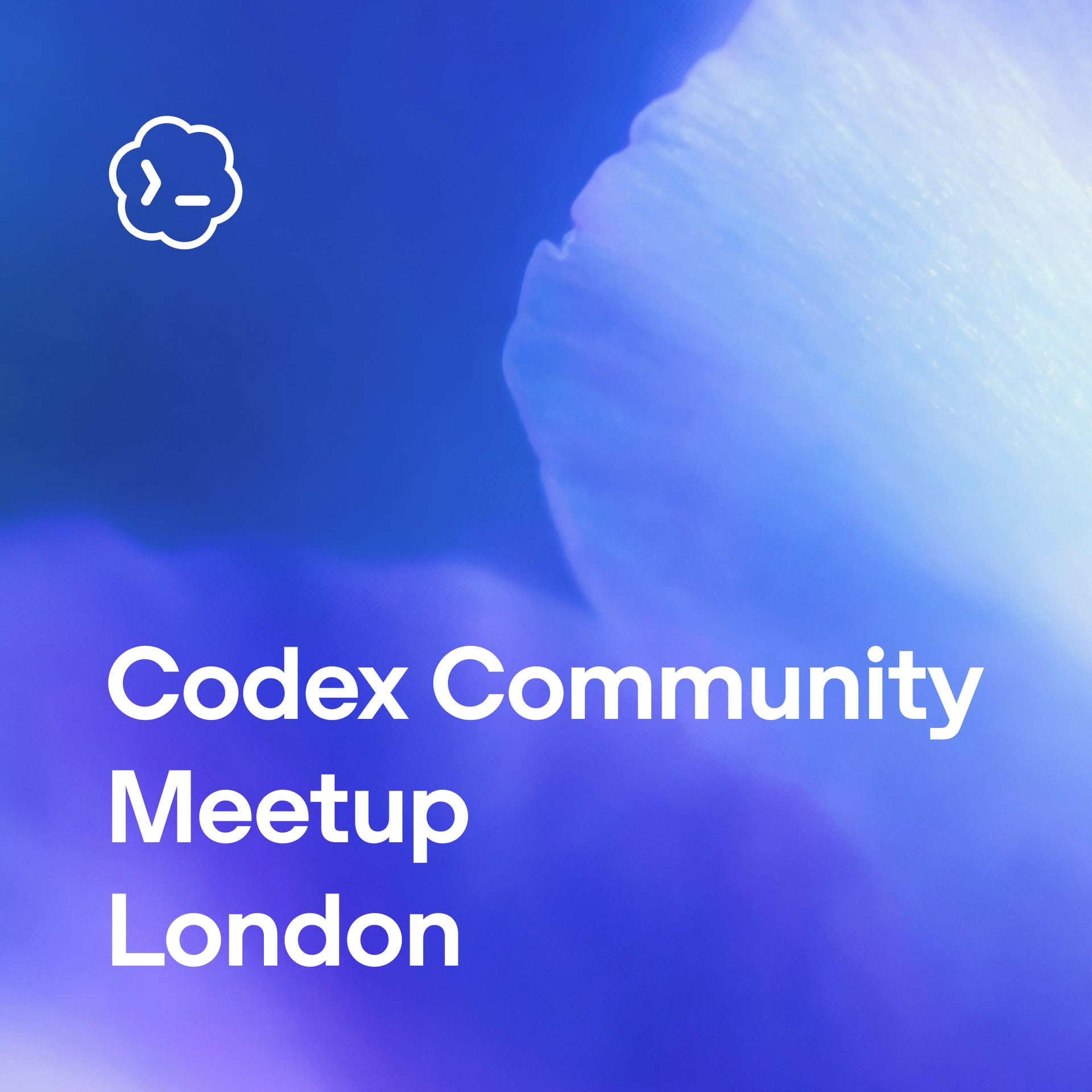 Codex Community Meetup, London