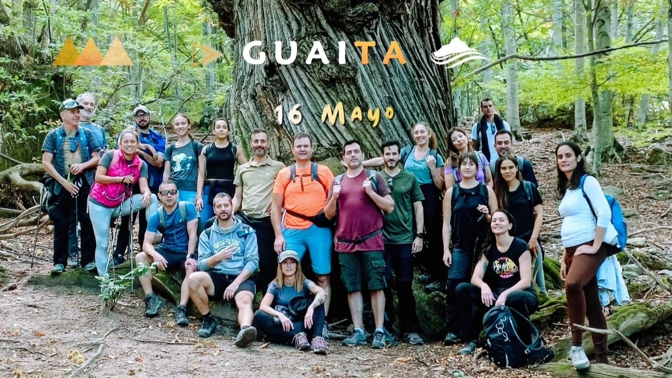 🌳 Viladrau ★ 𝐌𝐨𝐧𝐭𝐬𝐞𝐧𝐲 🥾Castaños Monumentales ⭑ Hayedos 🌳