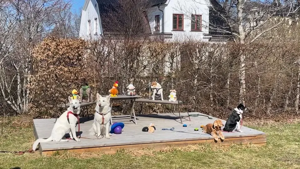 Äggjakt i Vallentuna centrum