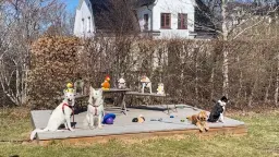 Äggjakt i Vallentuna centrum