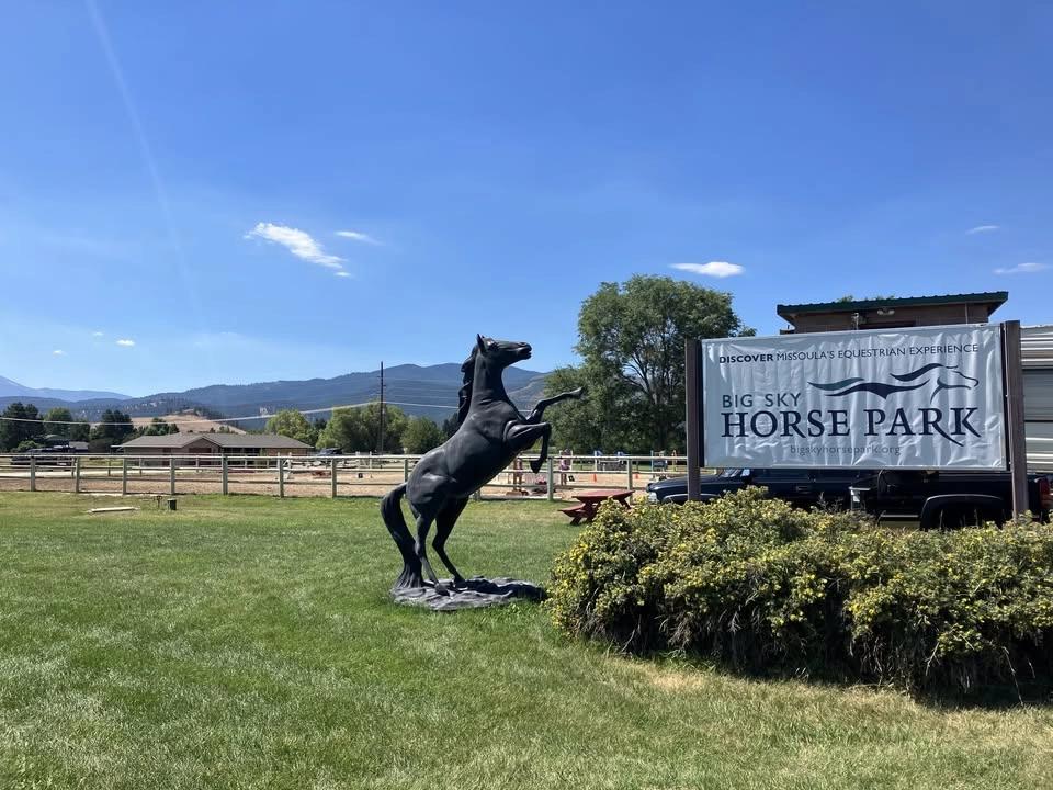 4H Fair Horse Show