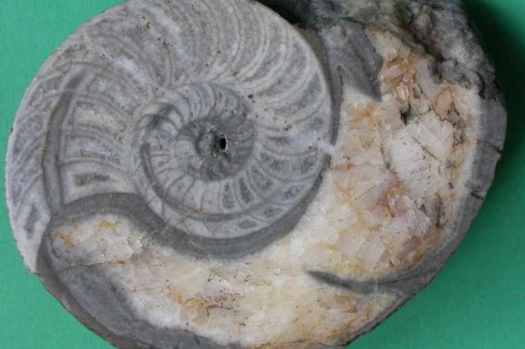 The Permanent Exhibition of The Muzeum Geologiczne im. Henryka Teisseyre we Wrocławiu