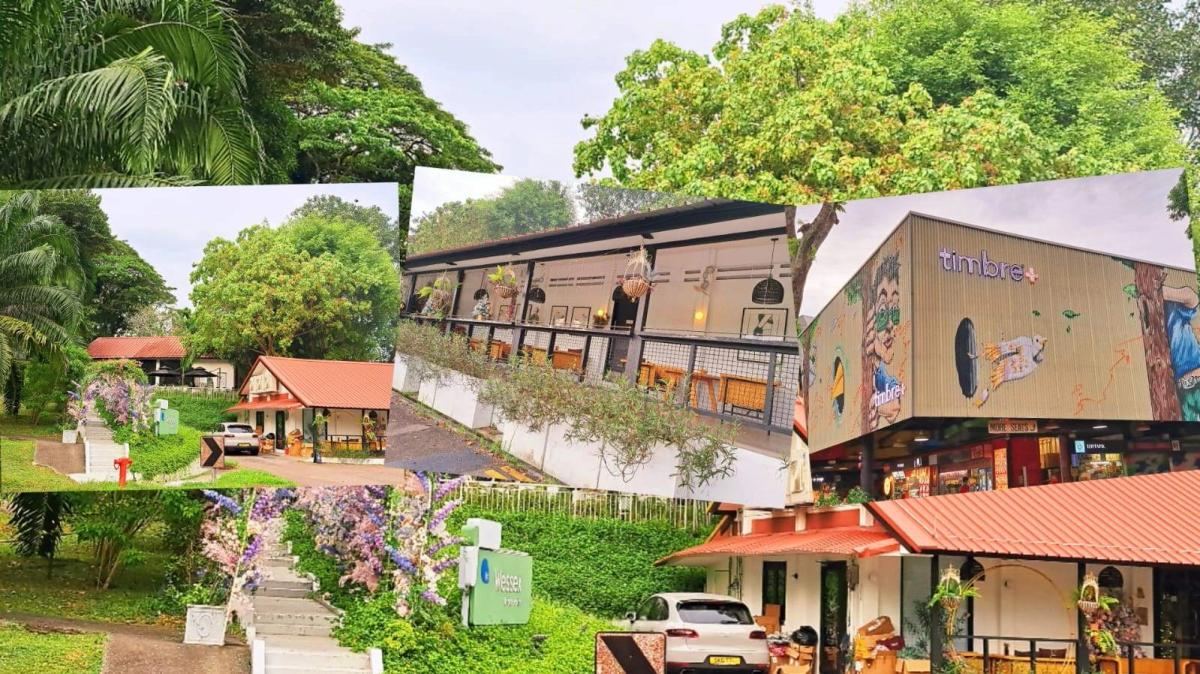 🏡 Wessex Estate & dinner with live music 🎶🪇