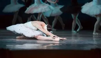 The Best of SWAN LAKE