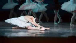 The Best of SWAN LAKE