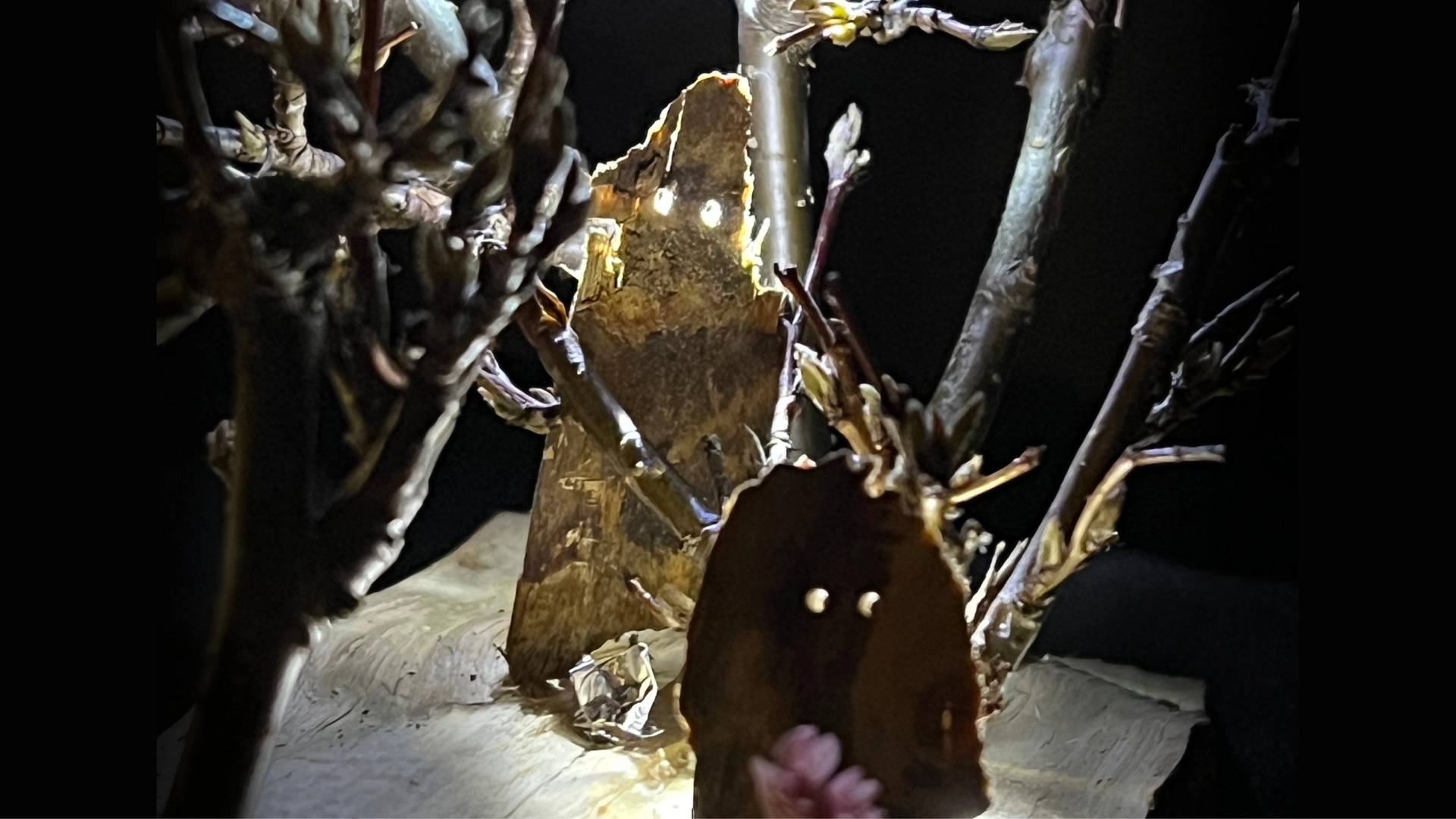 You're Not Aline - the improvised play + pre-show mingle