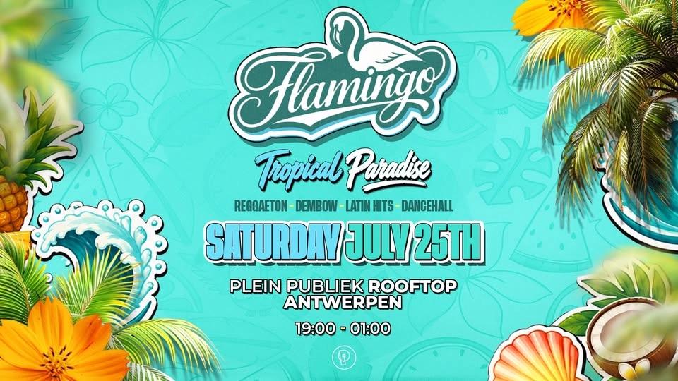 Flamingo Rooftop Party ☀️🦩 | Antwerpen