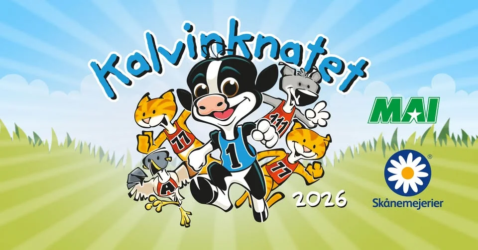 Kalvinknatet i Malmö - Ribban