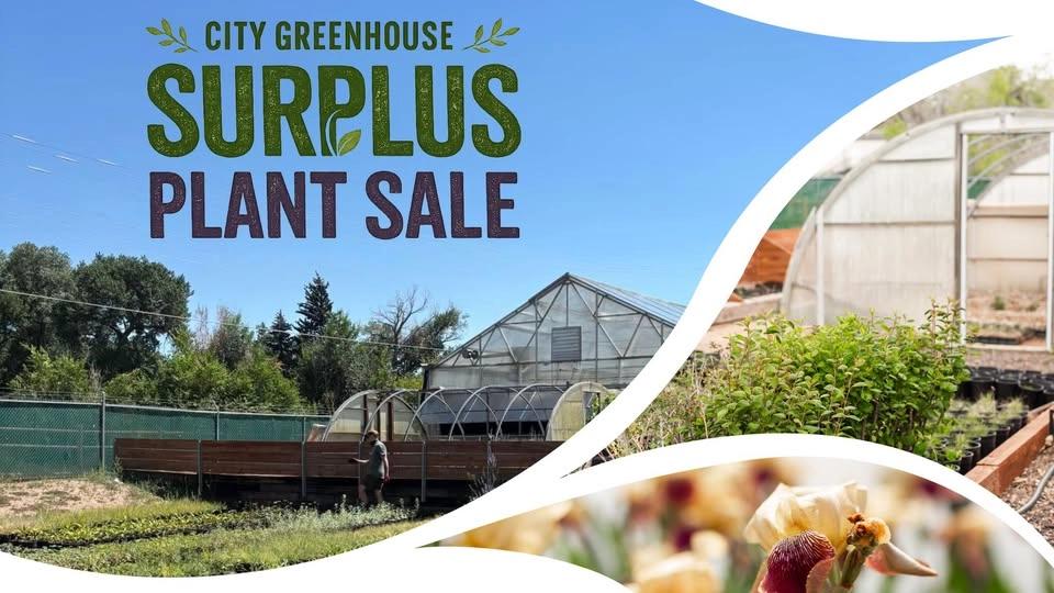 Surplus Plant Sale - City Greenhouse