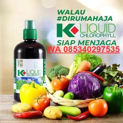 WA 085341802894 Daftar Member Klink Bengkalis, Alamat K-link Bengkalis