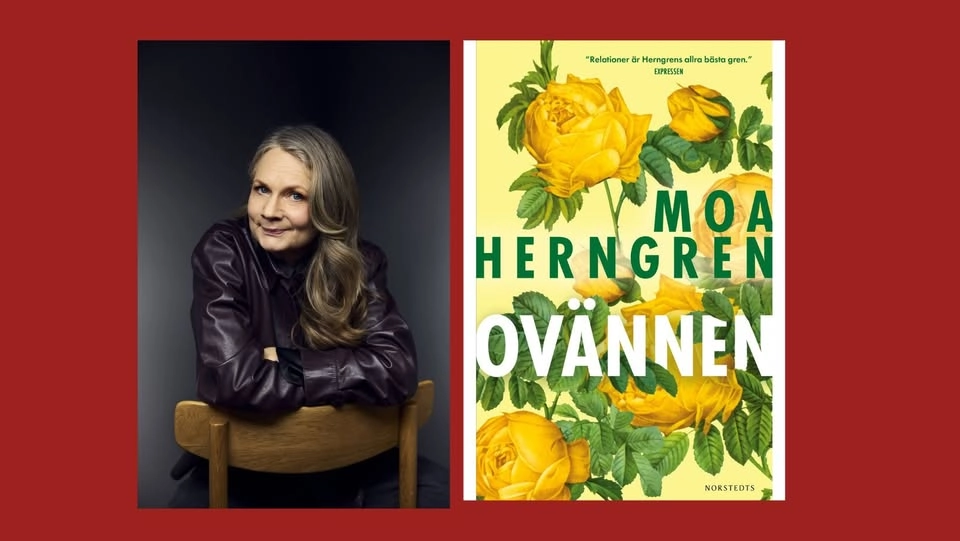 Författarsamtal med Moa Herngren
