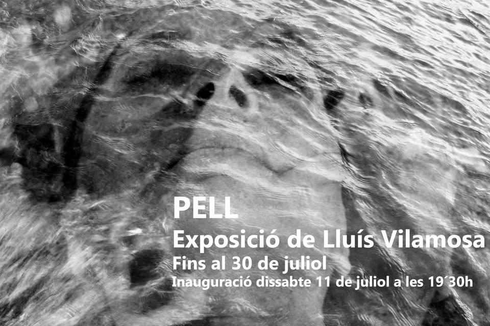PELL, exposició de Luís Vilamosa